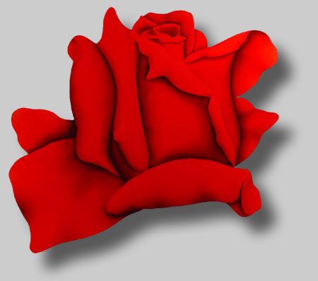 Roses in Paintings by Benini: Bella Rossa