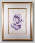 Watercolor - Studio per L'Ultima Rosa